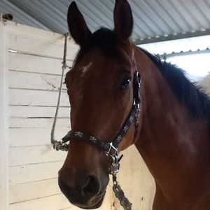 Meet your Posher, Crystal